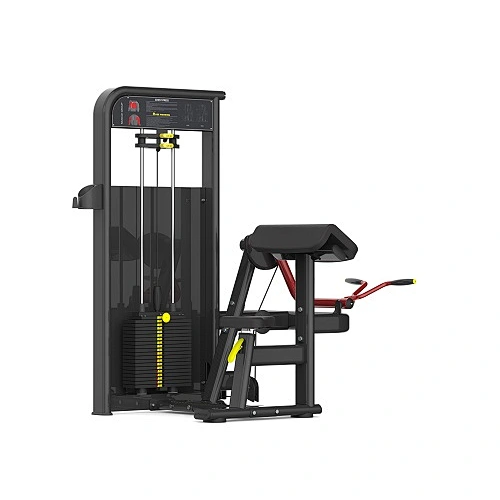 Biceps Curl