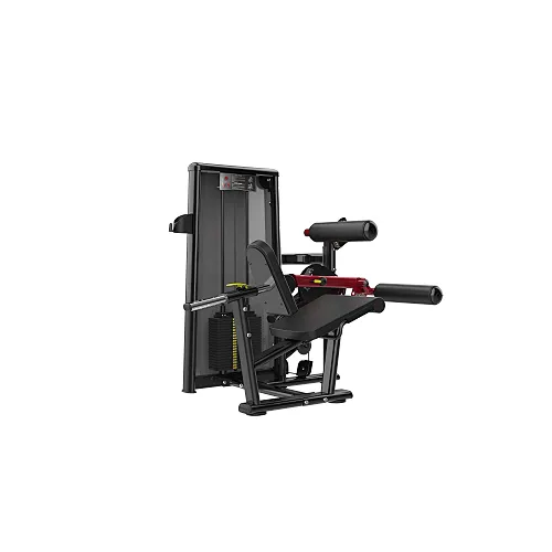 Seated Leg Curl