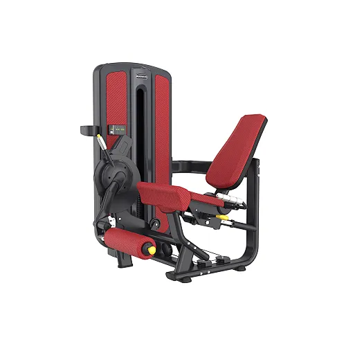 Leg Extension