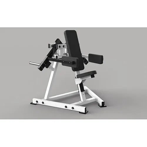 Lateral Raise V06