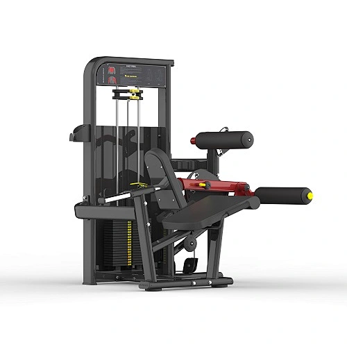 Seated Leg Curl