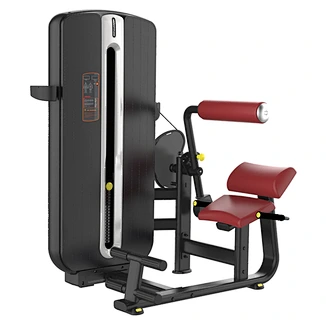 Chest Press