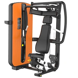Chest Press
