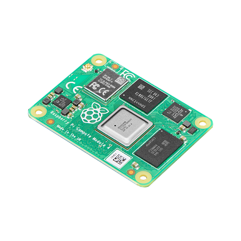 Lampone Pi CM4102008