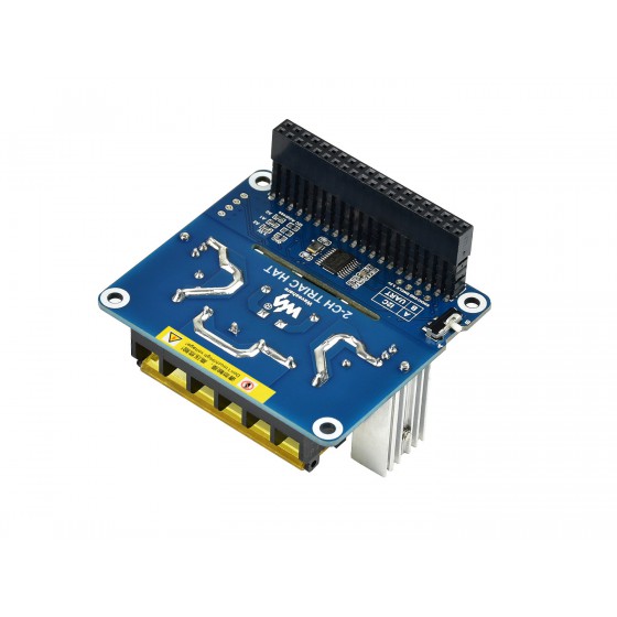 Raspberry Pi