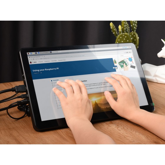 15,6-Zoll-HDMI-LCD (LF) (mit Hülle)