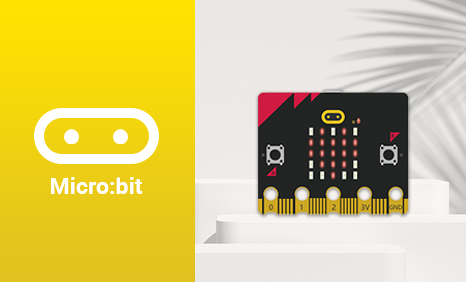 MICRO:BIT