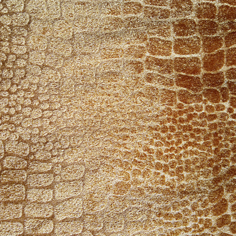 Flat crocodile