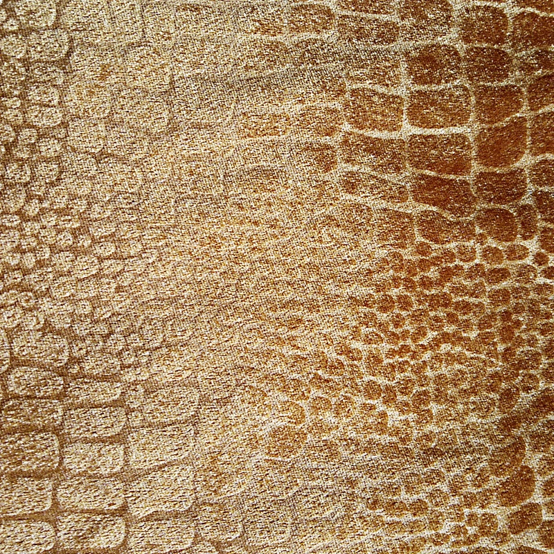 Flat crocodile