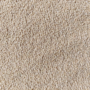 Full Dull Solid Small Anti Cloth