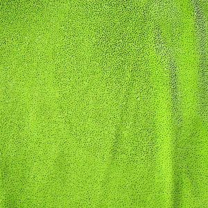 Solid and Foil Printed Korean Velvet/Ice Velvet