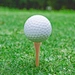 custom printed golf tees