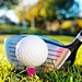 wooden golf tees