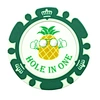 custom golf chips