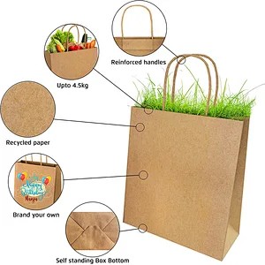 Medium Large Paper Gift Bags Assorted sizes Paper Kraft Paper Bags for Small Business
