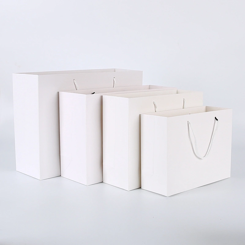 Eco-friendly Custom Paper Shopping Bag For Clothes And Gifts