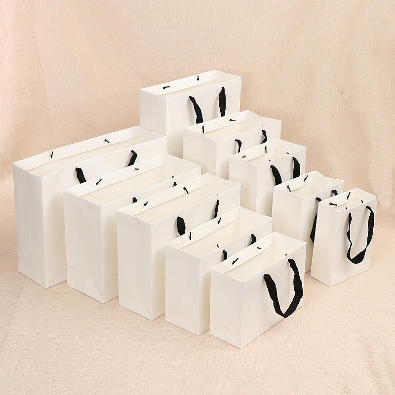 Attractive Price New Type Recyclable Kraft Paper Packaging Bag