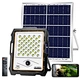 Solar flood light with Camera