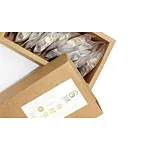 Six reasons for the popularity of refined kraft paper