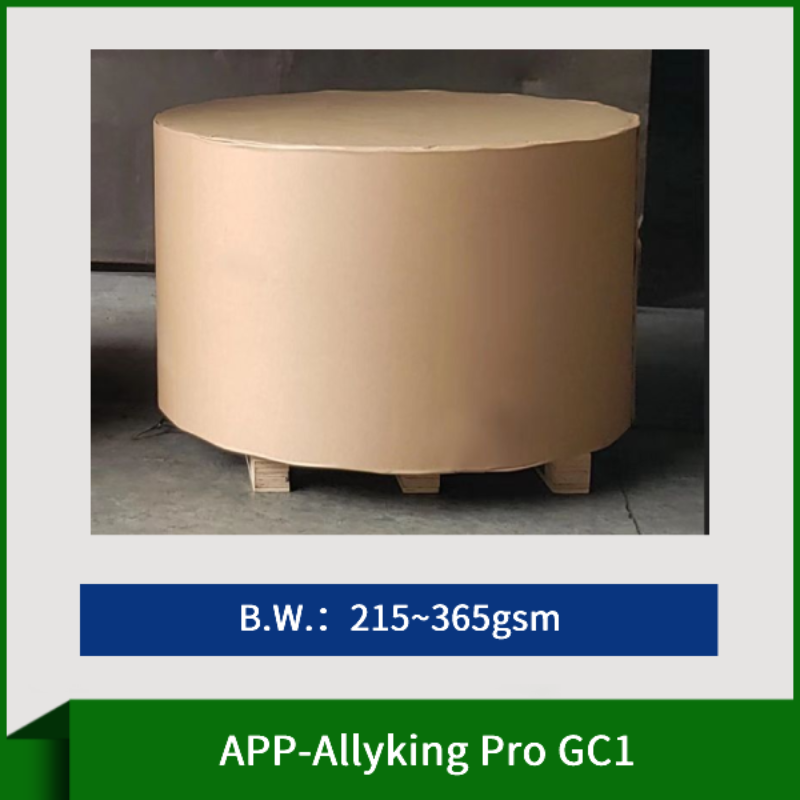 APP-AllyKing Pro GC1