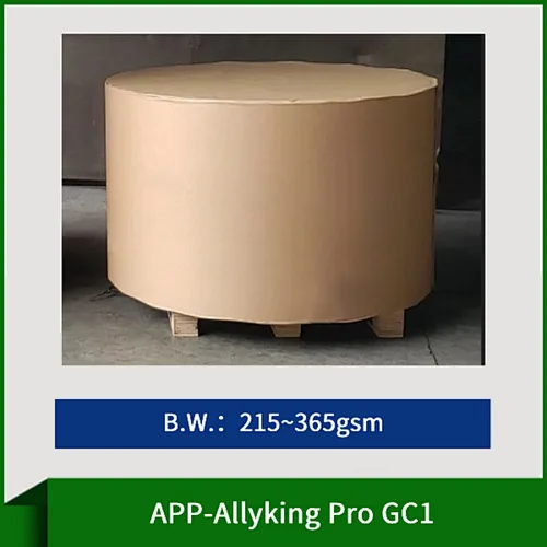 APP-AllyKing Pro GC1