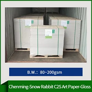 Chenming-Snow Rabbit C2S Art Paper-Gloss