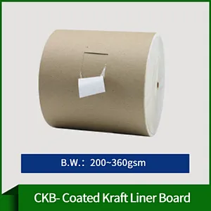 CKB-Coated Kraft Liner Board