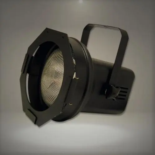 par 38 stage light
