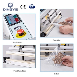 DZ400T External Vacuum Packager