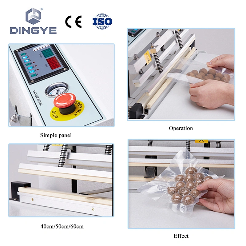 DZ400T External Vacuum Packager