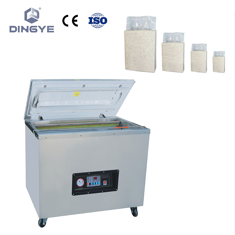 DZ840/2E Multi-function vacuum packaging machine