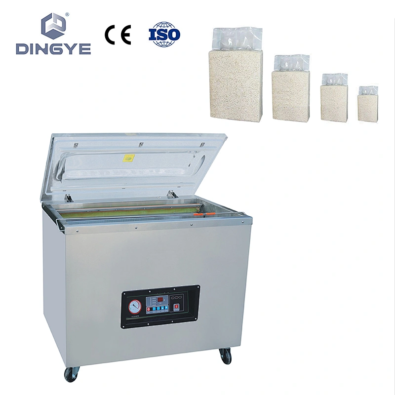 DZ840/2E Multi-function vacuum packaging machine