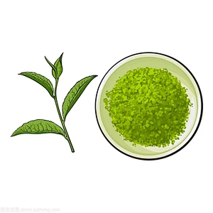 Green Matcha Tea Powders