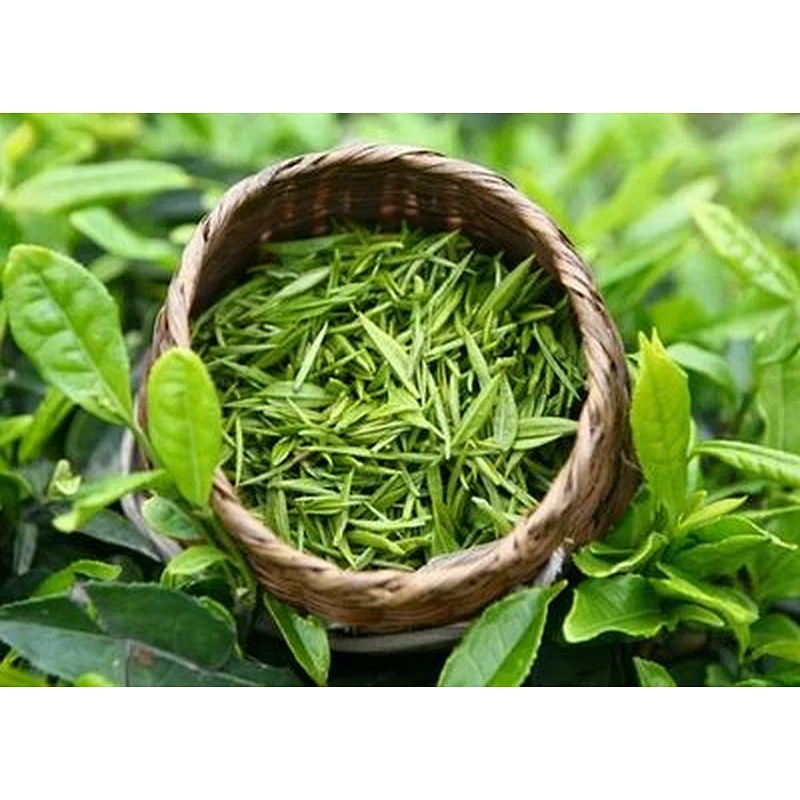 Lose Weight Green Tea