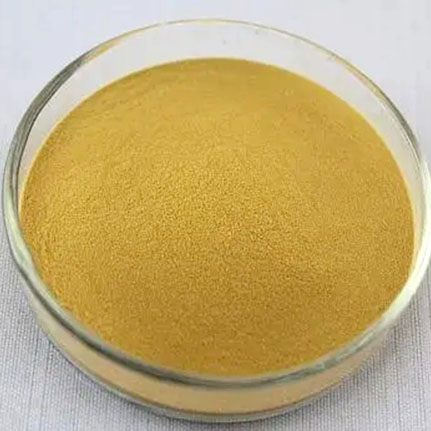 Organic Green Tea Powder