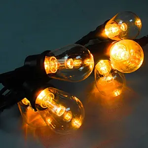 led outdoor novelty string lights bulbs