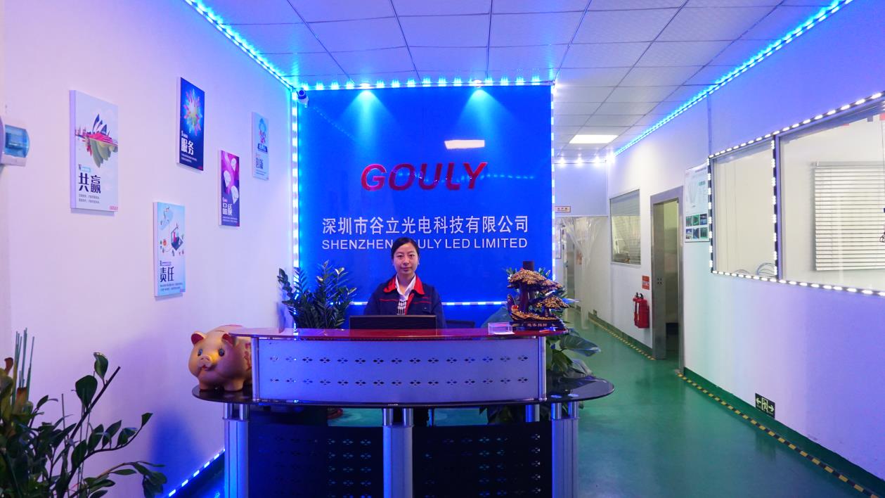 led light for decoration gouly