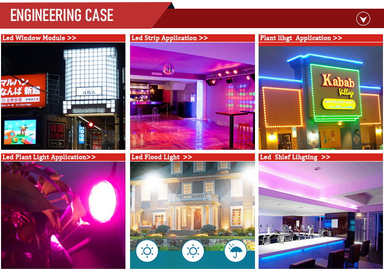 led decoration lights