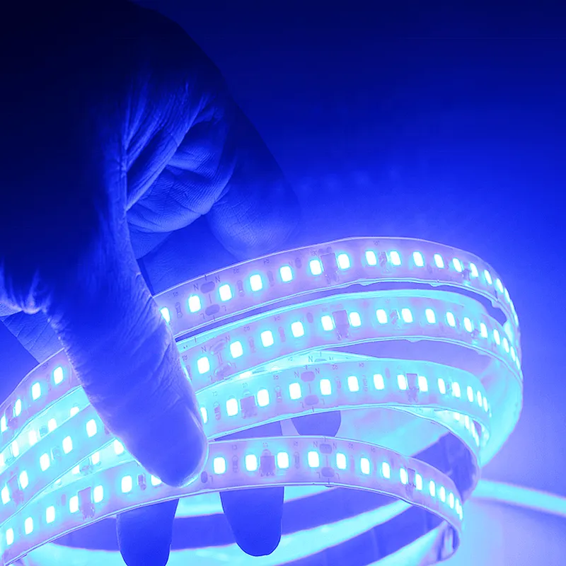 Wholesale Outdoor Flexible  ST2835 100m  Waterproof Led Strip/Led Strip Lights/Led Light Strip