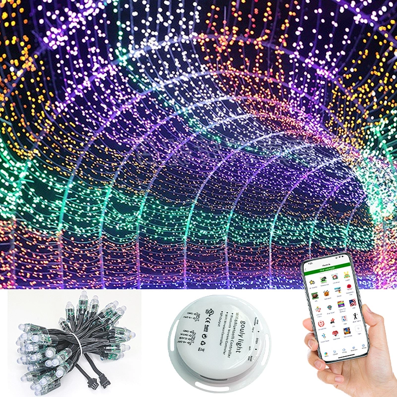 ws2811 12v 12mm led pixel light