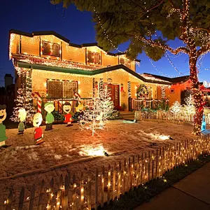 christmas holiday decoration led string lights