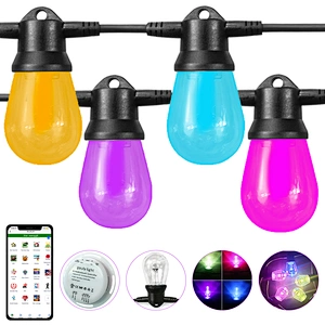 smd Led rgb string bulb dc 12v 24v dc  wi-fi app color changing Christmas decorations solar led string lights