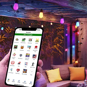 led bulb string light smd 5050  holiday lighting rgbw dream colour decoration lamp led rgb bulb light