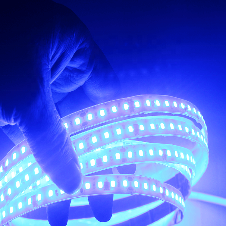 china shenzhen smd 2835 high voltage 50m warm white super bright 220v led strip lights