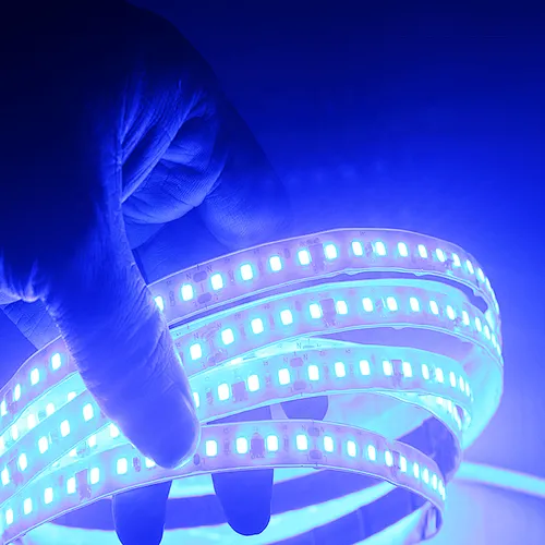 china shenzhen smd 2835 high voltage 50m warm white super bright 220v led strip lights