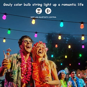 smd Led rgb string bulb dc 12v 24v dc  wi-fi app color changing Christmas decorations solar led string lights