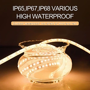 Hot sale with wifi control smd 5050 smart style can cut shenzhen lighting rgbw led strip light