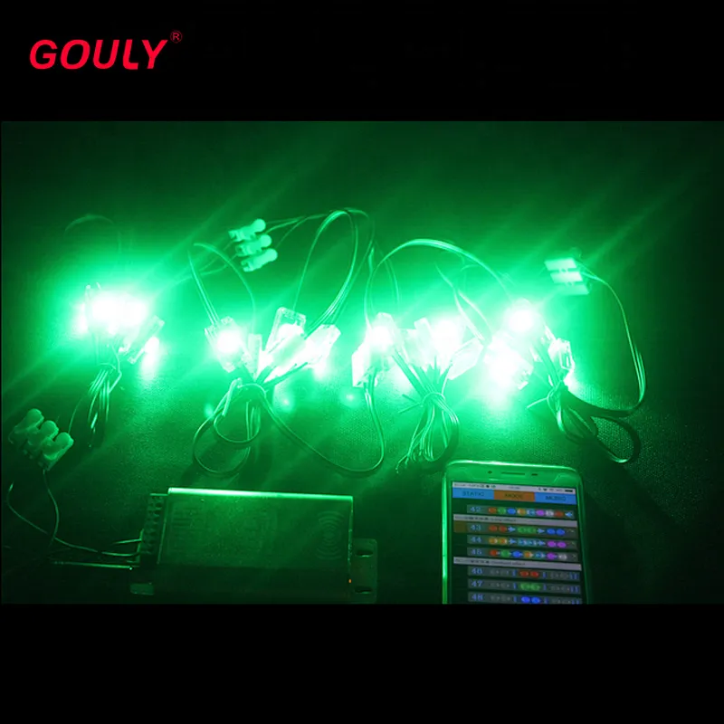 DC24V input 1 led module & led Christmas lights