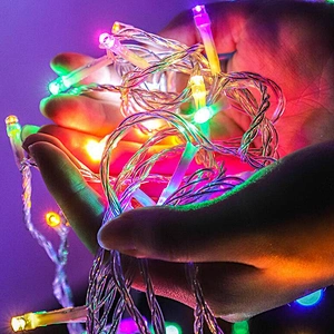 Hot Selling Outdoor Christmas Horse Decoration Fountain Led String Light Fairy light string