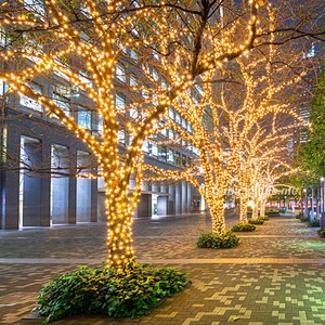Hot Selling Outdoor Christmas Horse Decoration Fountain Led String Light Fairy light string